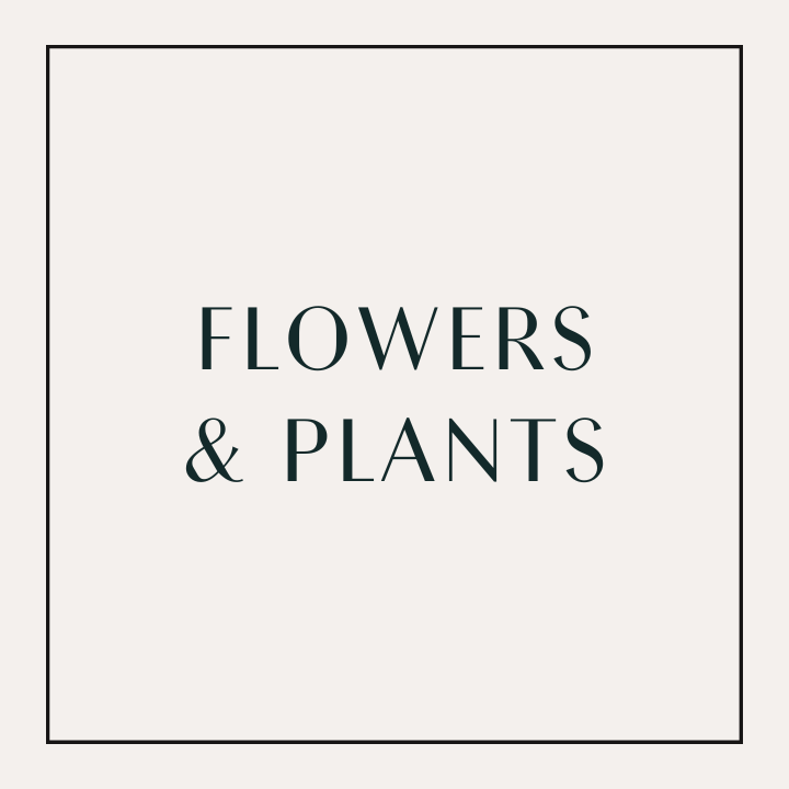 Flowers & Plants